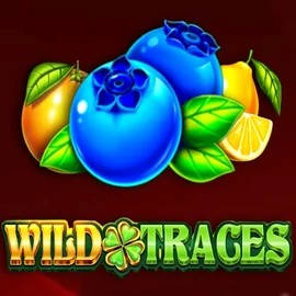 Wild Traces logo – Slots by Amusnet Interactive at Casoola Casino